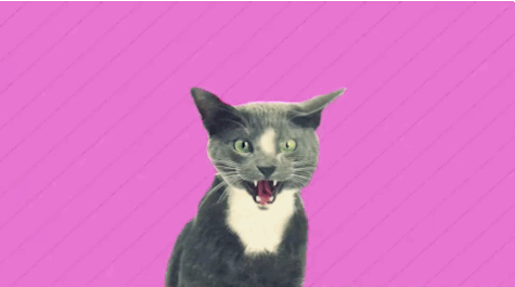 spoiled+milk+gif+2.gif